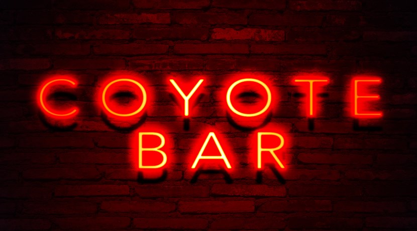 New Coyote Ugly bar to open in Birmingham