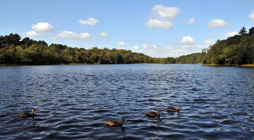 Boldmere Gate, Sutton Park