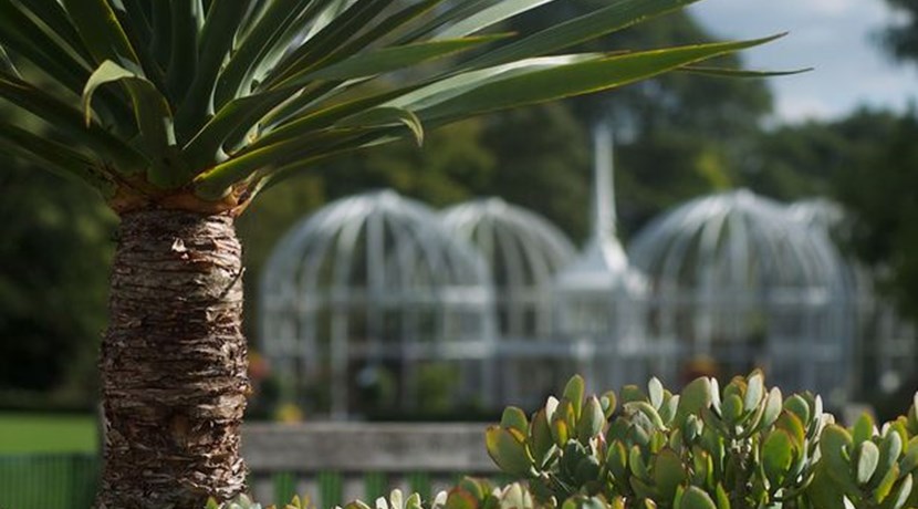 Free Entry To Birmingham Botanical Gardens