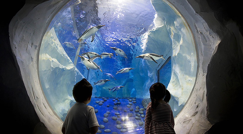 National Sea Life Centre