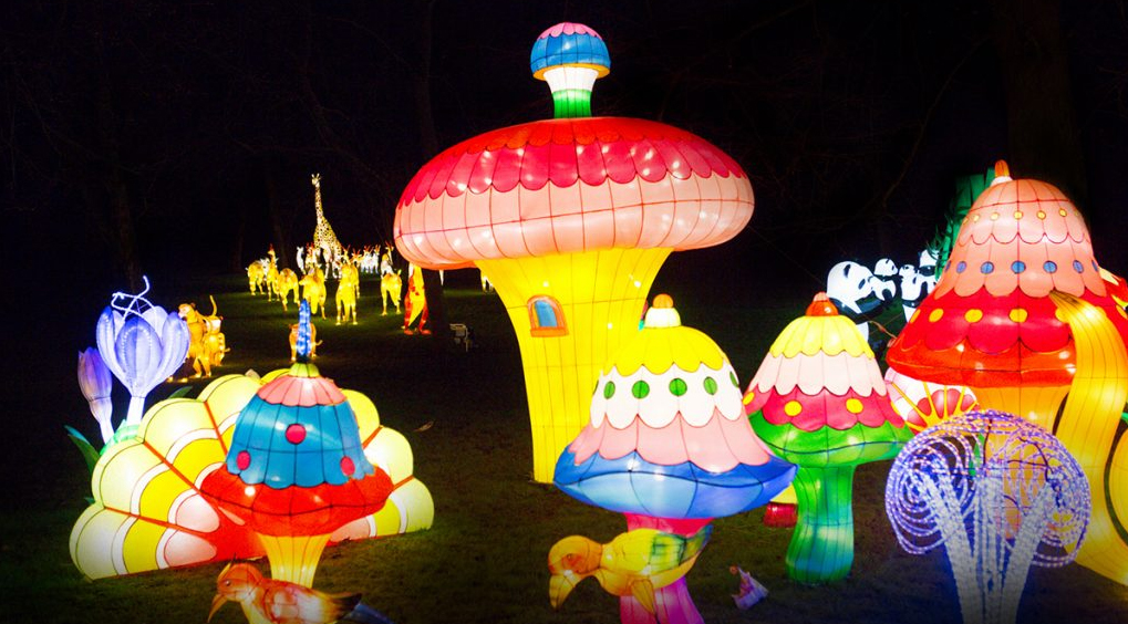Family ticket to Magic Lantern Festival