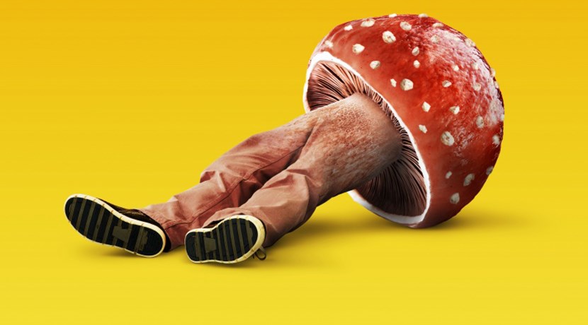 Josie Lawrence Interview