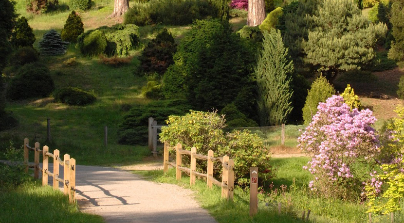 Bedgebury Pinetum & Forest