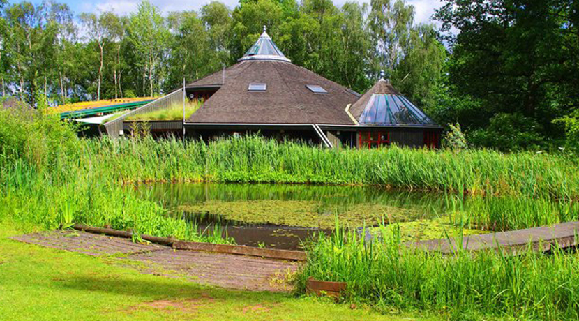 Bishops Wood Centre Garden