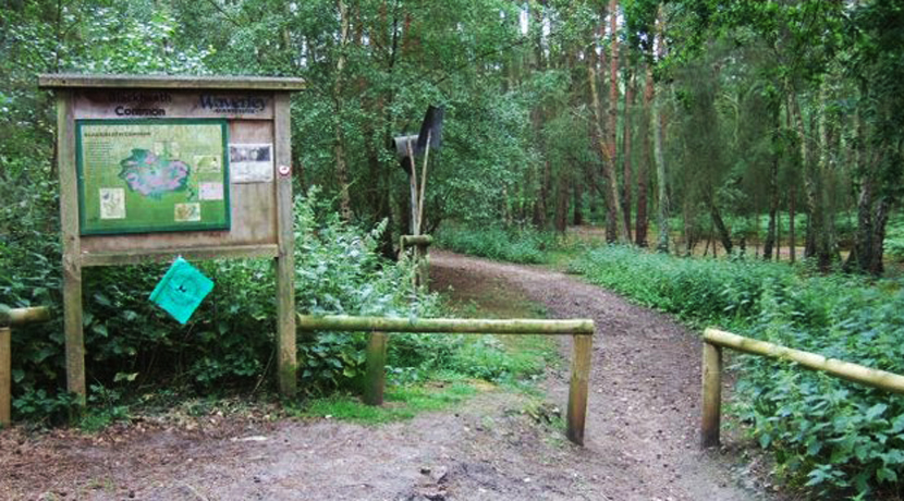 Blackheath Common