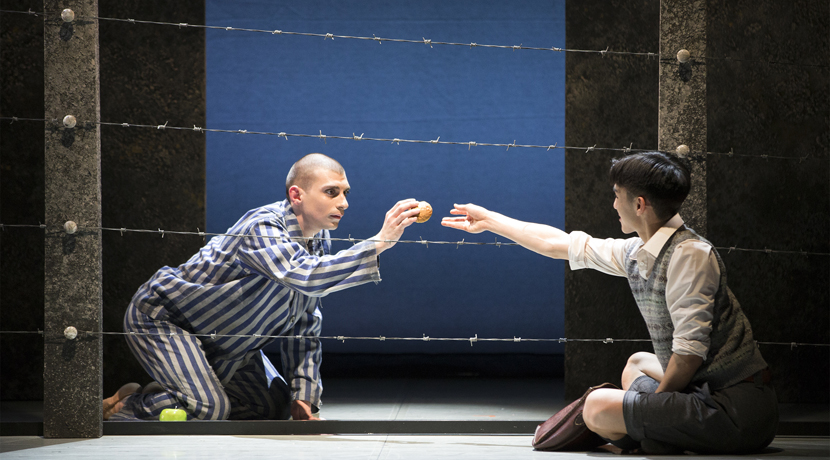 The Boy in the Striped Pyjamas