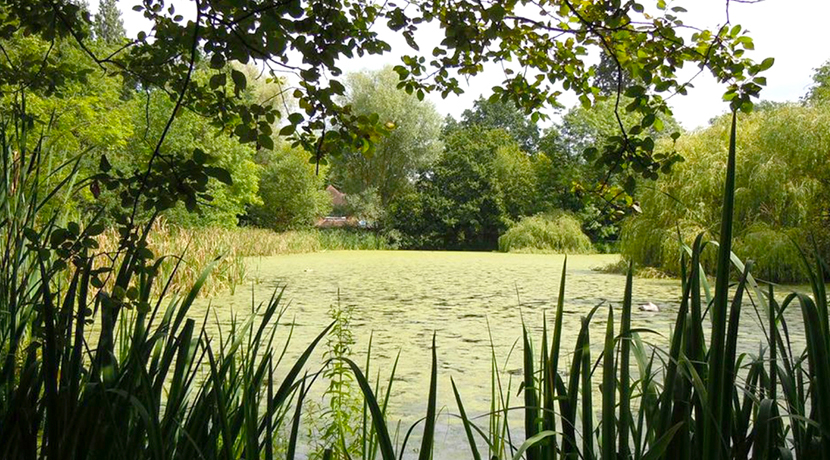 Brandon Marsh Nature Centre