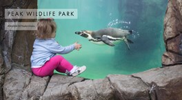 Peak Wildlife Park