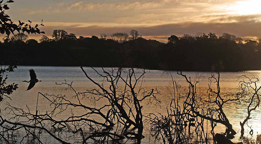 Boathouse Visitor Centre