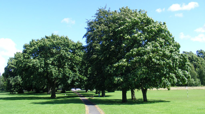 Bowring District Park