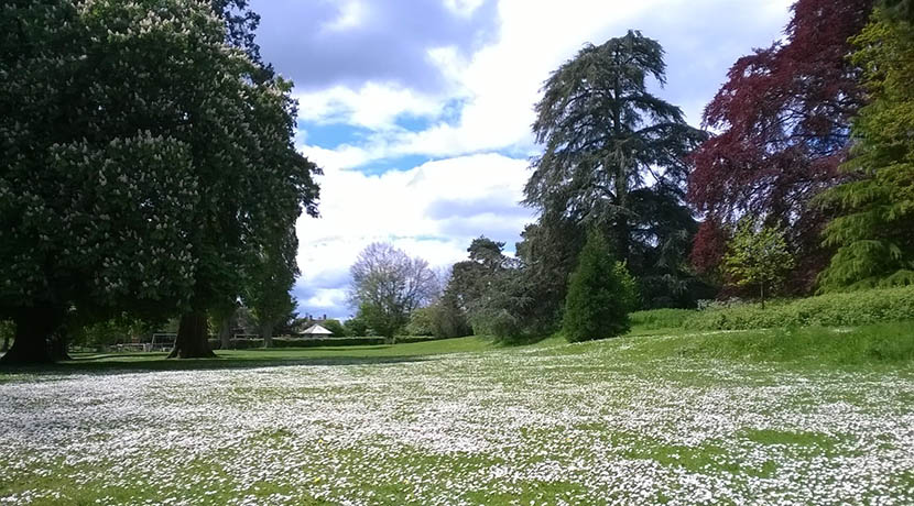 The Cremorne Gardens