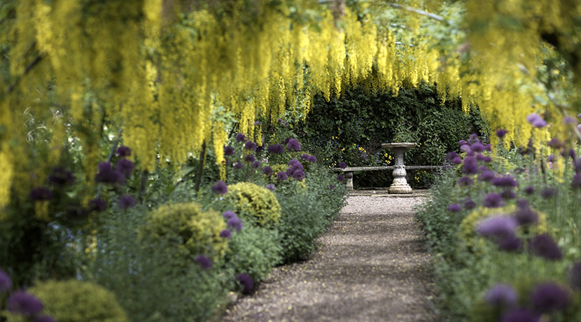 The Dorothy Clive Garden