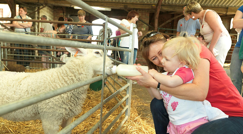 Umberslade Farm Park