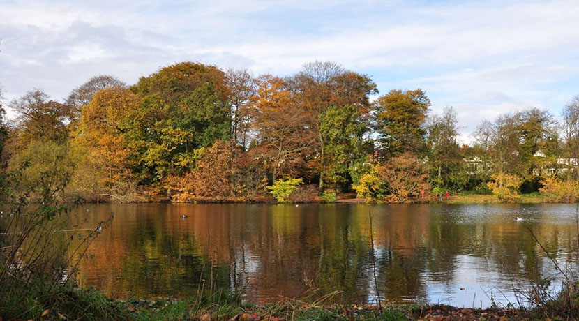 Edgbaston Reservoir