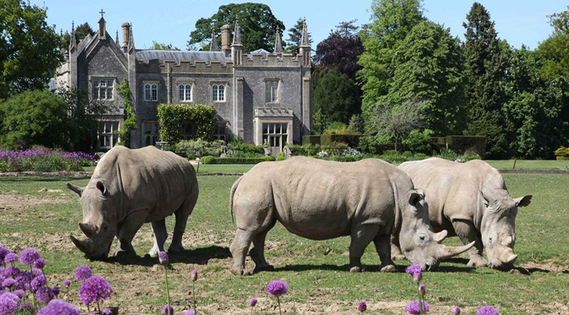 Cotswold Wildlife Park