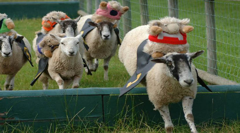 Hatton Adventure World