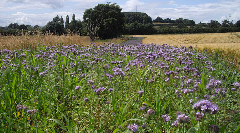 Worcestershire Wildlife Trust