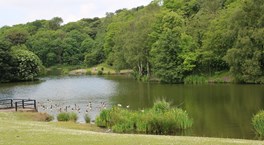Central Forest Park