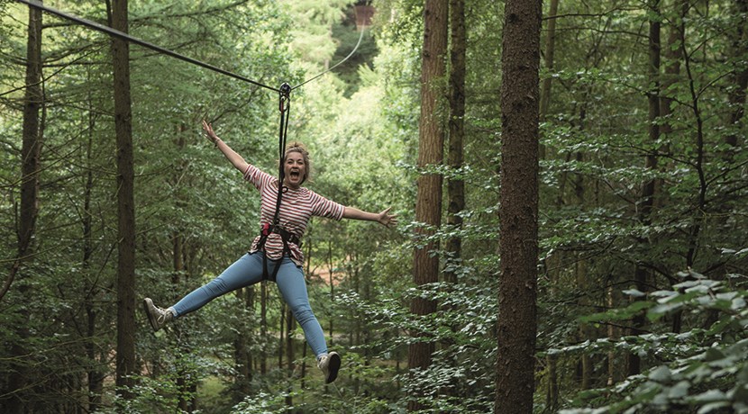 Go Ape Cannock Go Ape Cannock